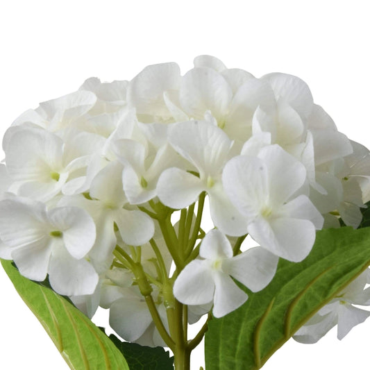 Faux white hydrangea