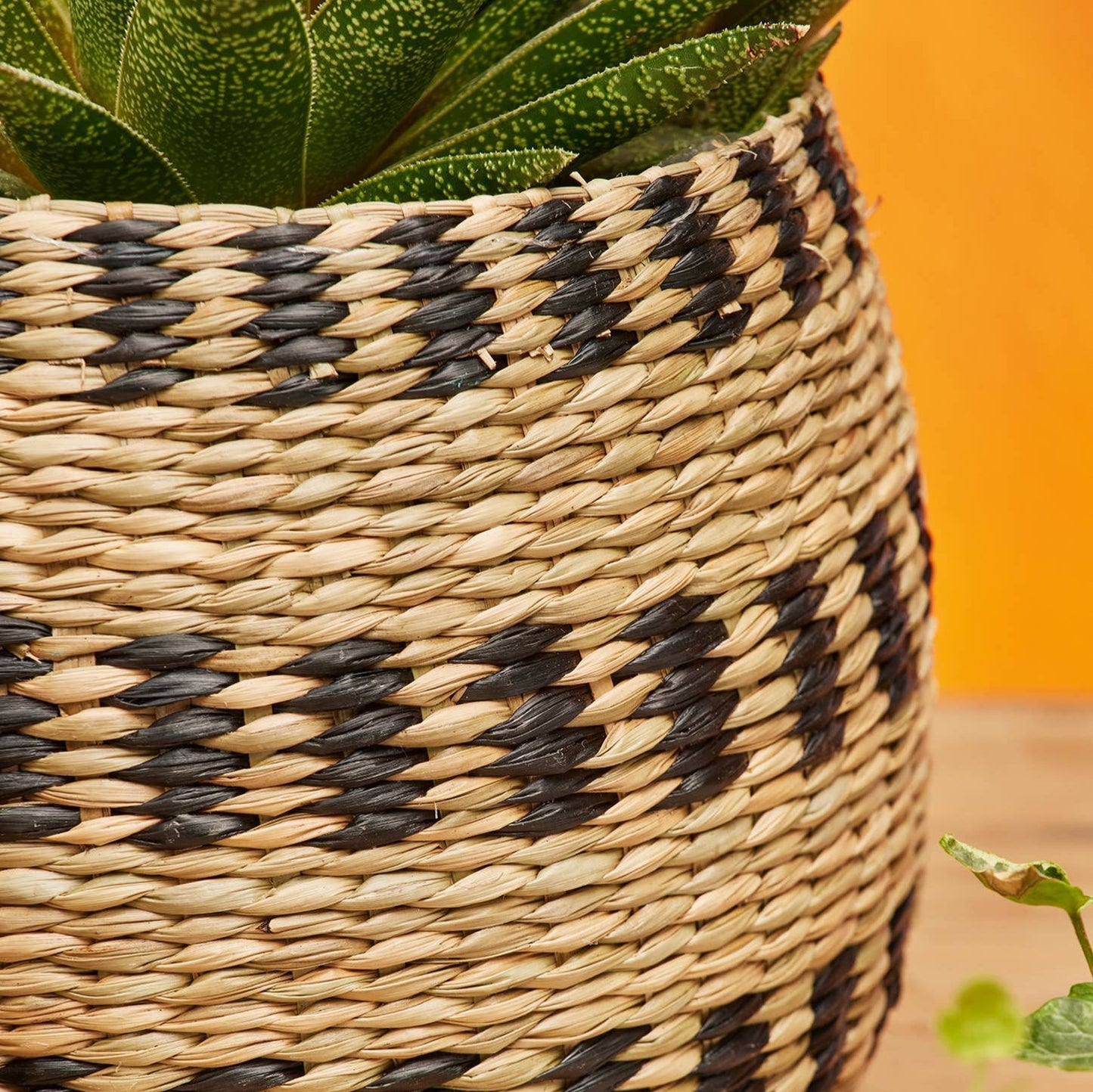 Black & natural seagrass planter