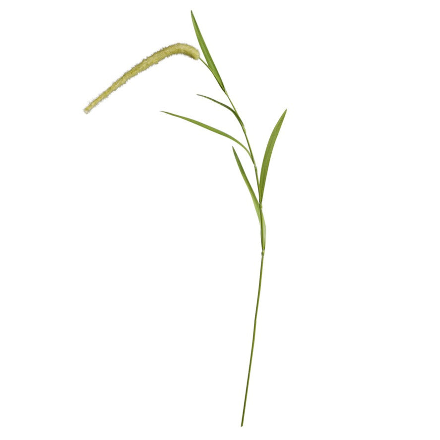 Foxtail grass faux spray