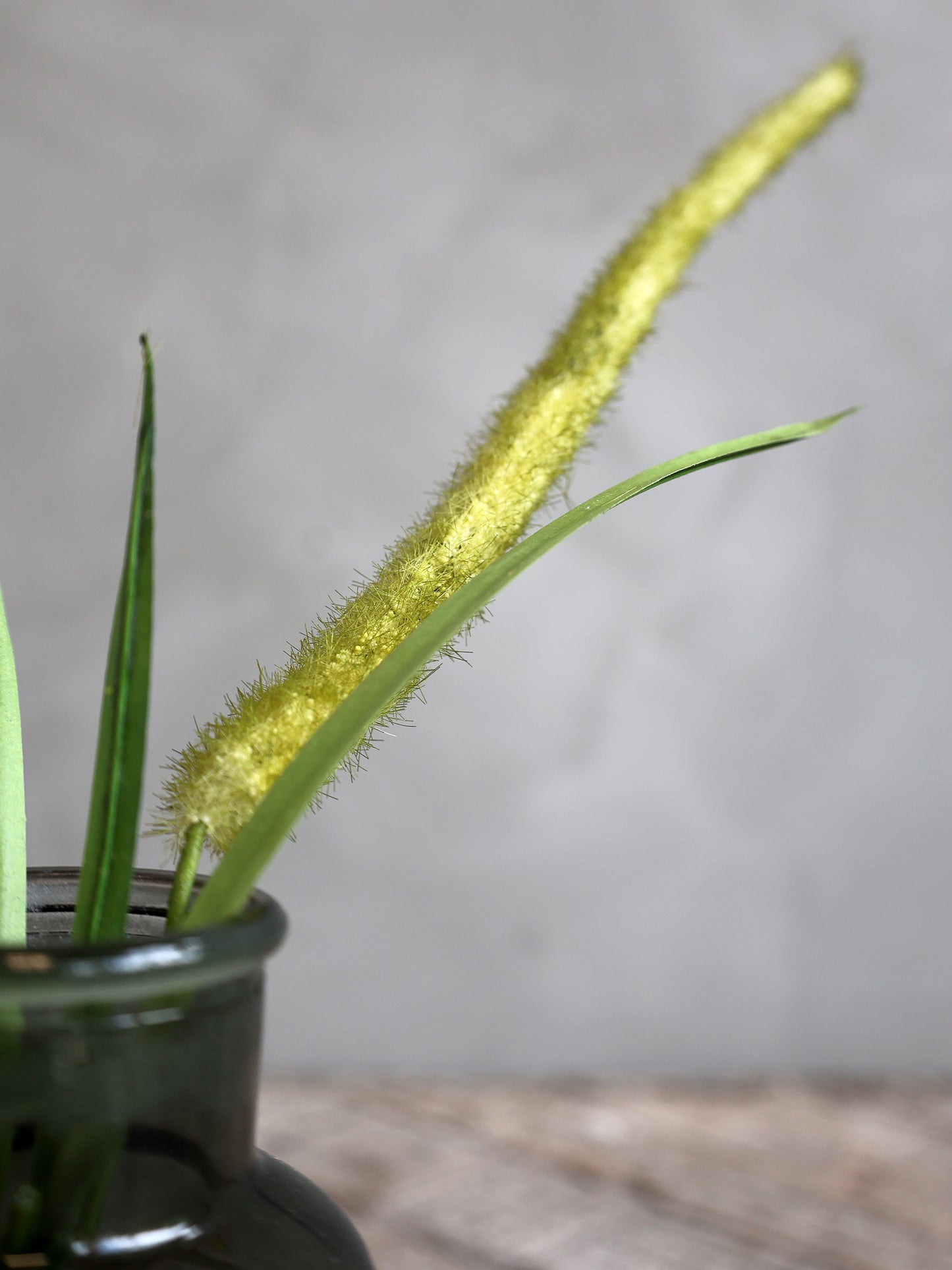 Foxtail grass faux spray