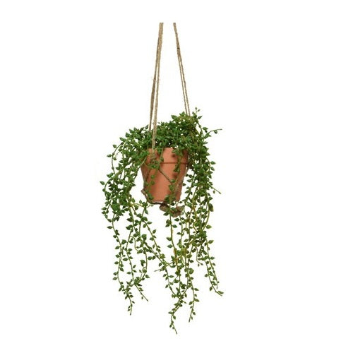 Faux String of Tears hanging plant
