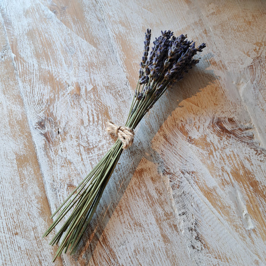 Lavender bunch