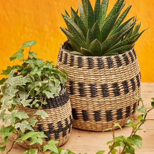 Black & natural seagrass planter
