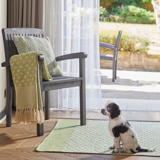 Woven trellis throw in green