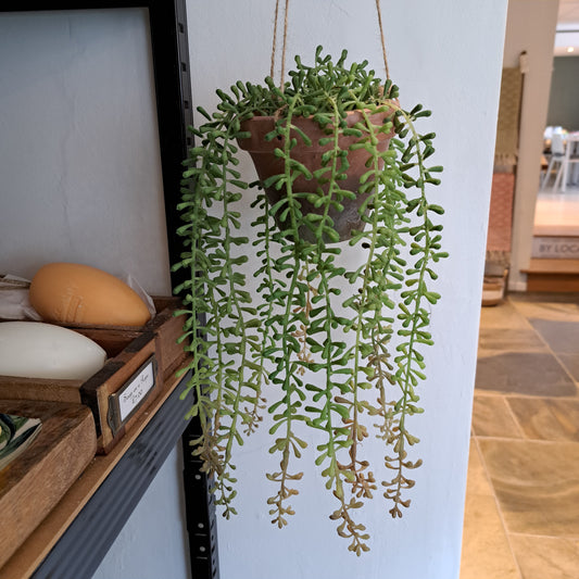 Faux Burro's Tail hanging plant