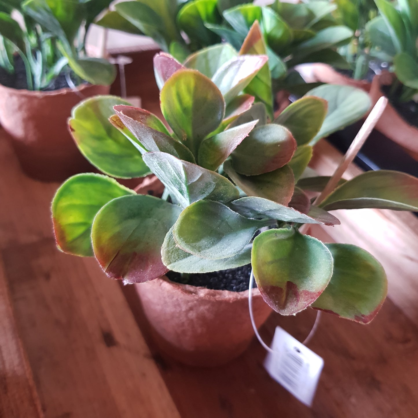 Mini faux plant