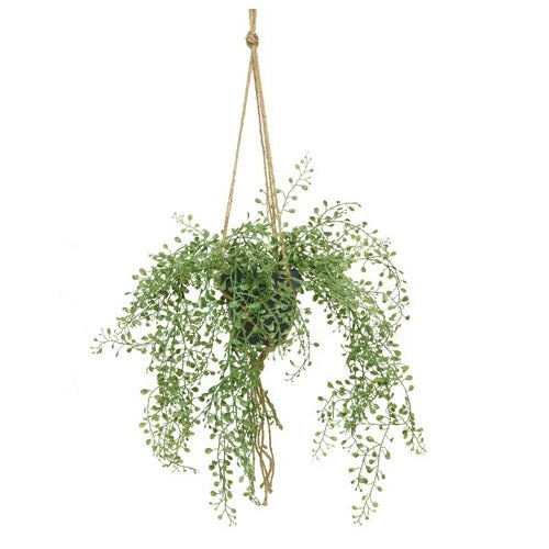 Hanging faux String of Pearls plant in pot